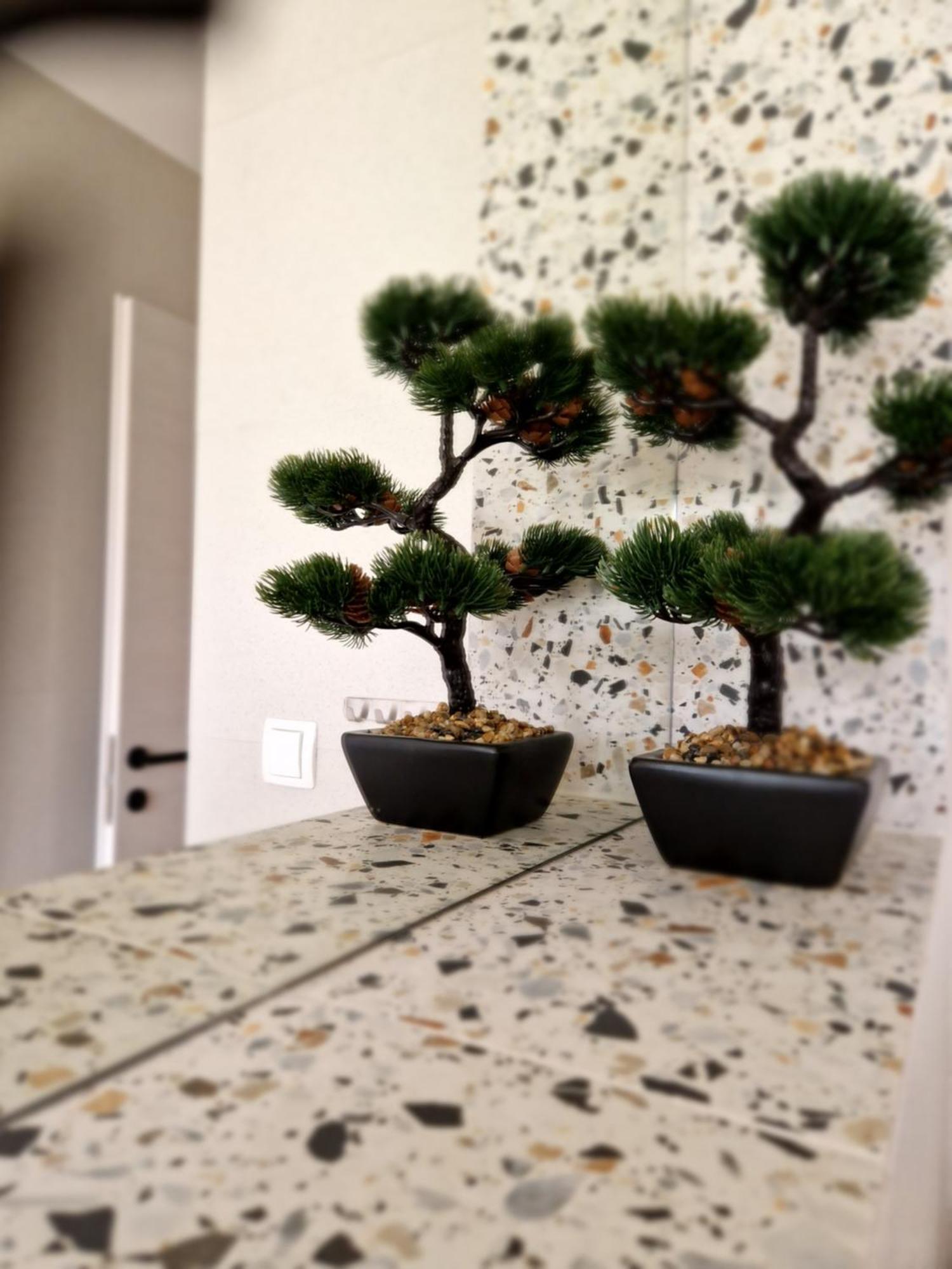 Apartment Marela Split Dış mekan fotoğraf